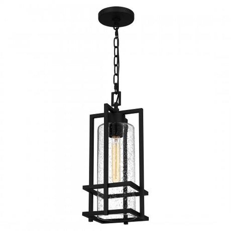 Quoizel DMN1907EK Damien Outdoor hanging 1 light earth black Outdoor