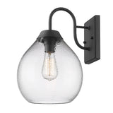 Ariella NB 1-Light Wall Sconce - Outdoor in Natural Black with Hammered Clear Glass Shade