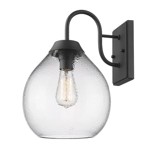 Ariella NB 1-Light Wall Sconce - Outdoor in Natural Black with Hammered Clear Glass Shade