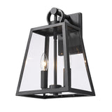 Lautner Natural Black Wall Sconce - Outdoor