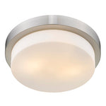 Multi-Family Flush Mount in Pewter with Opal Glass