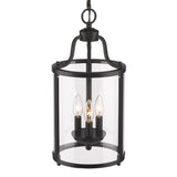 Payton 3-Light Pendant in Matte Black with Clear Glass