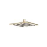 Artos Edge 8" Rain Shower Head Satin Brass – F901-5SB