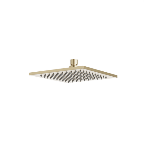 Artos Edge 8" Rain Shower Head Satin Brass – F901-5SB