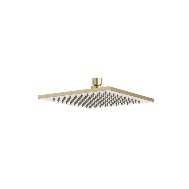 Artos Edge 8" Rain Shower Head Satin Brass – F901-5SB