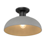 Levitt Natural Black Semi-Flush - Outdoor