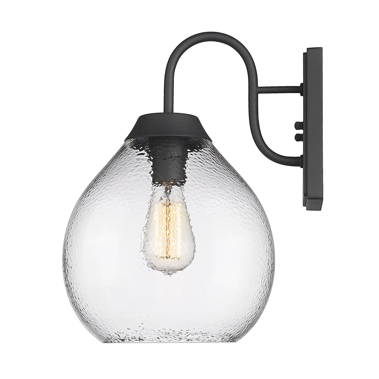 Ariella NB 1-Light Wall Sconce - Outdoor in Natural Black with Hammered Clear Glass Shade
