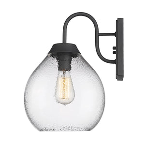 Ariella NB 1-Light Wall Sconce - Outdoor in Natural Black with Hammered Clear Glass Shade