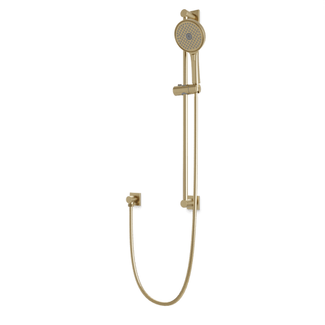 Artos Otella Multifunction Flexible Hose Slide Bar Kit with Separate Water Outlet Satin Brass – F907-117SB