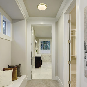 Gabi 10" Flush Mount in Brushed Champagne Bronze with Opal Glass