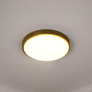 Gabi 13" Flush Mount in Brushed Champagne Bronze with Opal Glass