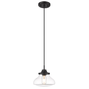 Nash Small Pendant in Matte Black with Clear Glass