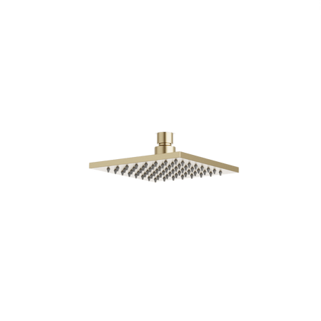 Artos Edge 6" Rain Shower Head Satin Brass – F901-19SB