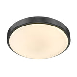 Gabi 13" Flush Mount in Matte Black with Opal Glass