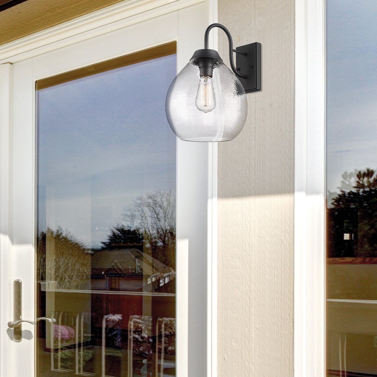 Ariella NB 1-Light Wall Sconce - Outdoor in Natural Black with Hammered Clear Glass Shade