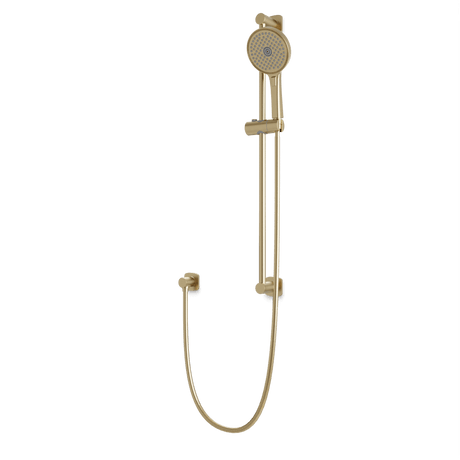 Artos Harmony Flexible Hose Slide Bar Kit with Separate Water Outlet Satin Brass – F907-79TRSB