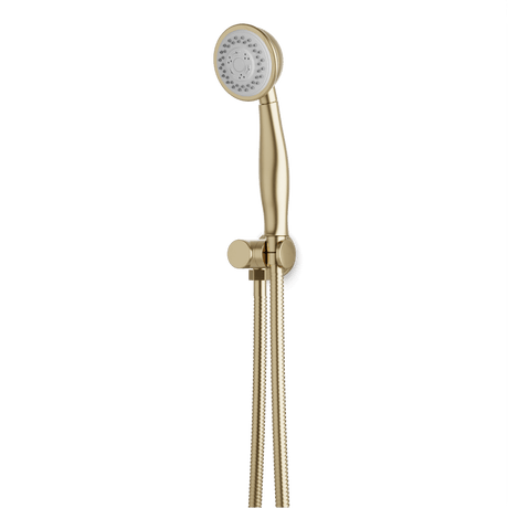 Artos Classic Multifunction Flexible Hose Hand Shower Kit on Pivoting Hook Satin Brass – F907-116SB