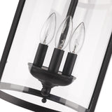 Payton 3-Light Pendant in Matte Black with Clear Glass