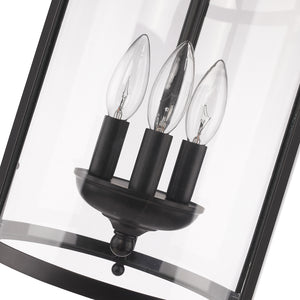 Payton 3-Light Pendant in Matte Black with Clear Glass