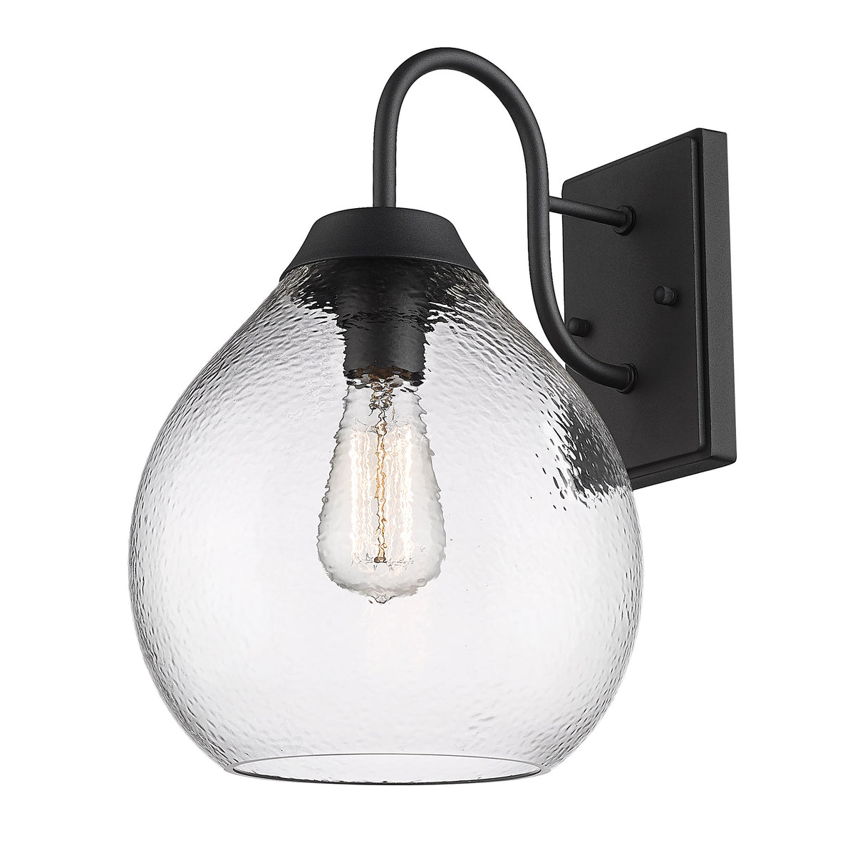 Ariella NB 1-Light Wall Sconce - Outdoor in Natural Black with Hammered Clear Glass Shade