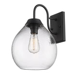Ariella NB 1-Light Wall Sconce - Outdoor in Natural Black with Hammered Clear Glass Shade