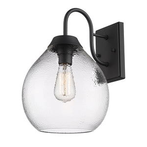 Ariella NB 1-Light Wall Sconce - Outdoor in Natural Black with Hammered Clear Glass Shade