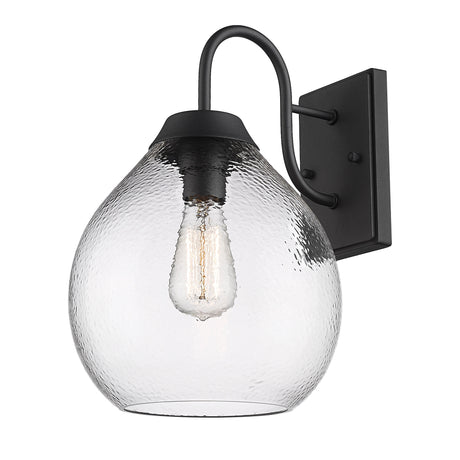 Ariella NB 1-Light Wall Sconce - Outdoor in Natural Black with Hammered Clear Glass Shade