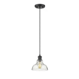 Carver 1-Light Pendant in Matte Black with Clear Glass Shade