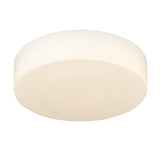 Toli BCB Flush Mount in Brushed Champagne Bronze with Opal Glass Shade