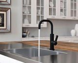 Pfister Matte Black 1-handle Bar & Prep Faucet