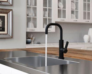 Pfister Matte Black 1-handle Bar & Prep Faucet GT72-MTB