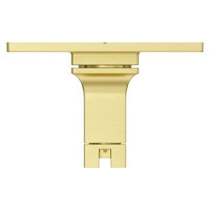 Pfister Brushed Gold Shower Valve Only Trim Without Handles R89-1VRVBG