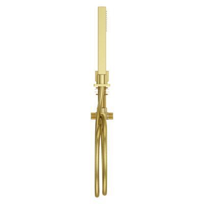 Pfister Brushed Gold Roman Tub Handshower With Diverter