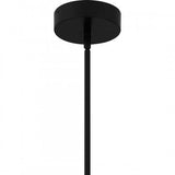 Quoizel PCADR5030MBK Adler Chandelier 8 lights matte black. Chandelier