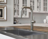 Pfister Stainless Steel 1-handle Pull-down Kitchen Faucet