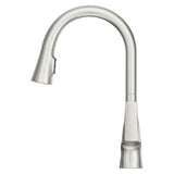 Pfister Stainless Steel 1-handle Pull-down Kitchen Faucet