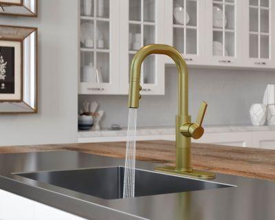 Pfister Brushed Gold 1-handle Pull-down Bar/prep Kitchen Faucet