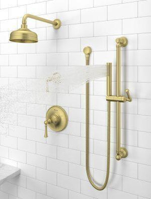 Pfister Tisbury Raincan Showerhead in Brushed Gold