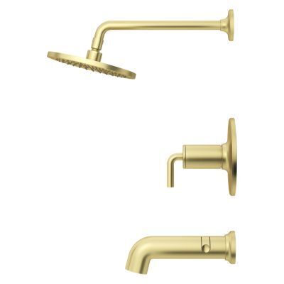 Pfister Brushed Gold 1-handle Tub & Shower Trim