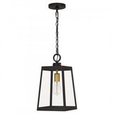 Quoizel AMBL1908WT Amberly Grove Outdoor hanging 1 light western bronze Outdoor