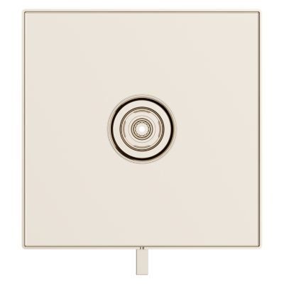 Pfister Polished Nickel Trim Kit for Thermostatic Shower R89-VRVD
