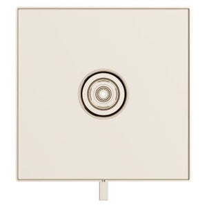 Pfister Polished Nickel Trim Kit for Thermostatic Shower R89-VRVD