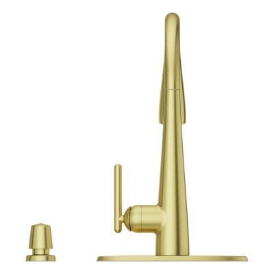 Pfister Brushed Gold 1-handle Pull-down Kitchen Faucet