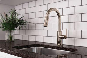 Pfister Polished Nickel 1-handle Pull-down Kitchen Faucet GT529-COLD