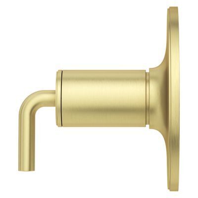 Pfister Brushed Gold 1-handle Tub & Shower Valve Only Trim