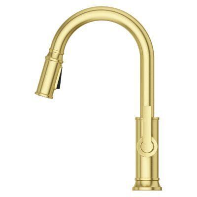 Pfister Brushed Gold 1-handle Pull-down Kitchen Faucet