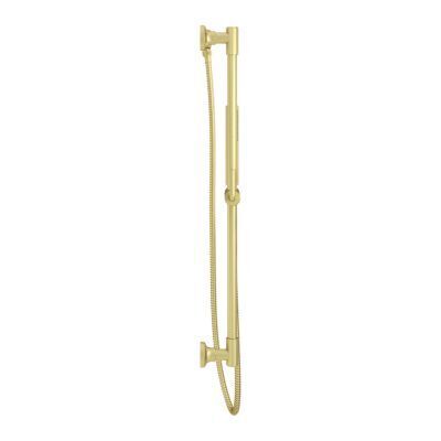 Pfister Brushed Gold Handheld Shower With Slide Bar