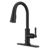 Pfister Tuscan Bronze 1-handle Pull-down Kitchen Faucet