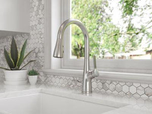 Pfister Stainless Steel Pull-down Kitchen Faucet LG529-NES