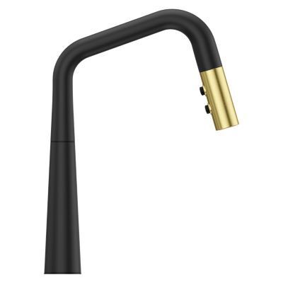 Combo-matte Black and Brushed Gold 1-handle Pull-down Kitchen Faucet